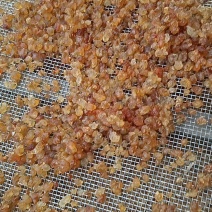 沂蒙山区里的野生桃胶大自然的产品黑胶，产地直发