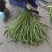 精品长豆角，豇豆，大量上市，产地面积大，支持全国代发