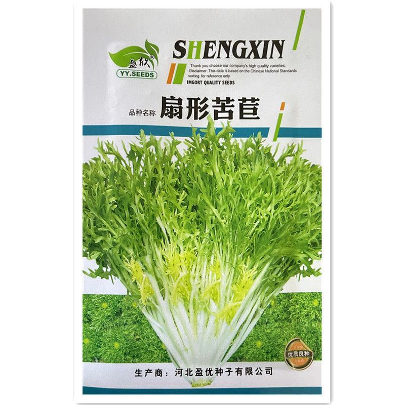 苦苣种子细叶黄心金花苦菊种籽绿叶碎叶苦菊秋季四季盆栽蔬菜