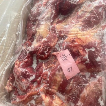 牛前牛后快大