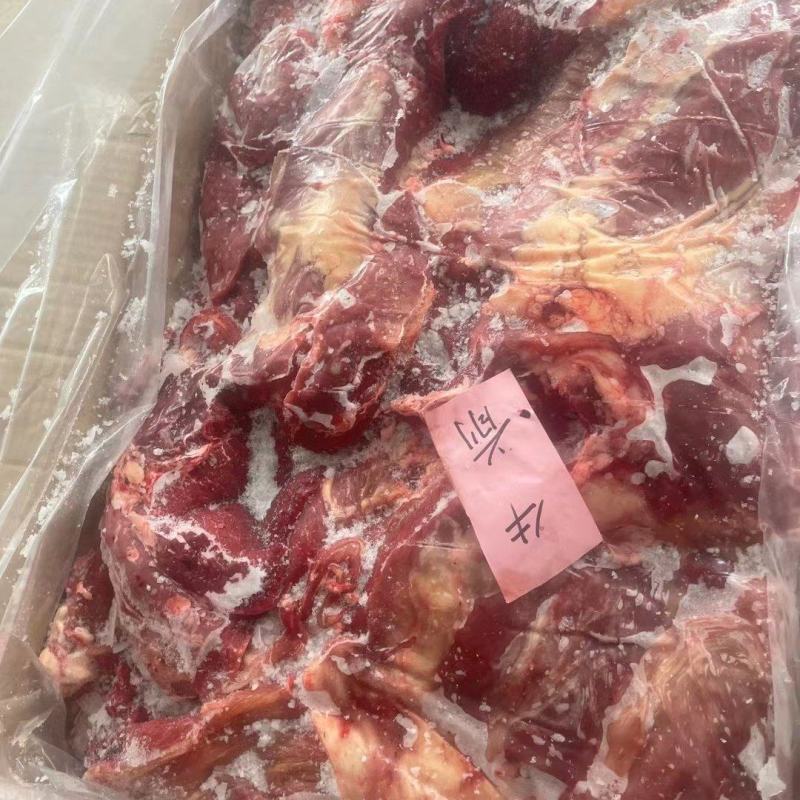牛前牛后快大