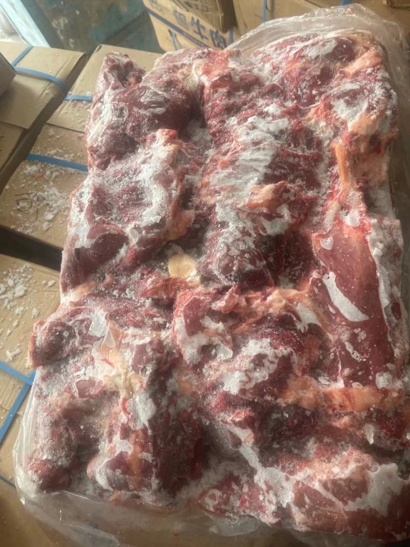 牛前牛后快大