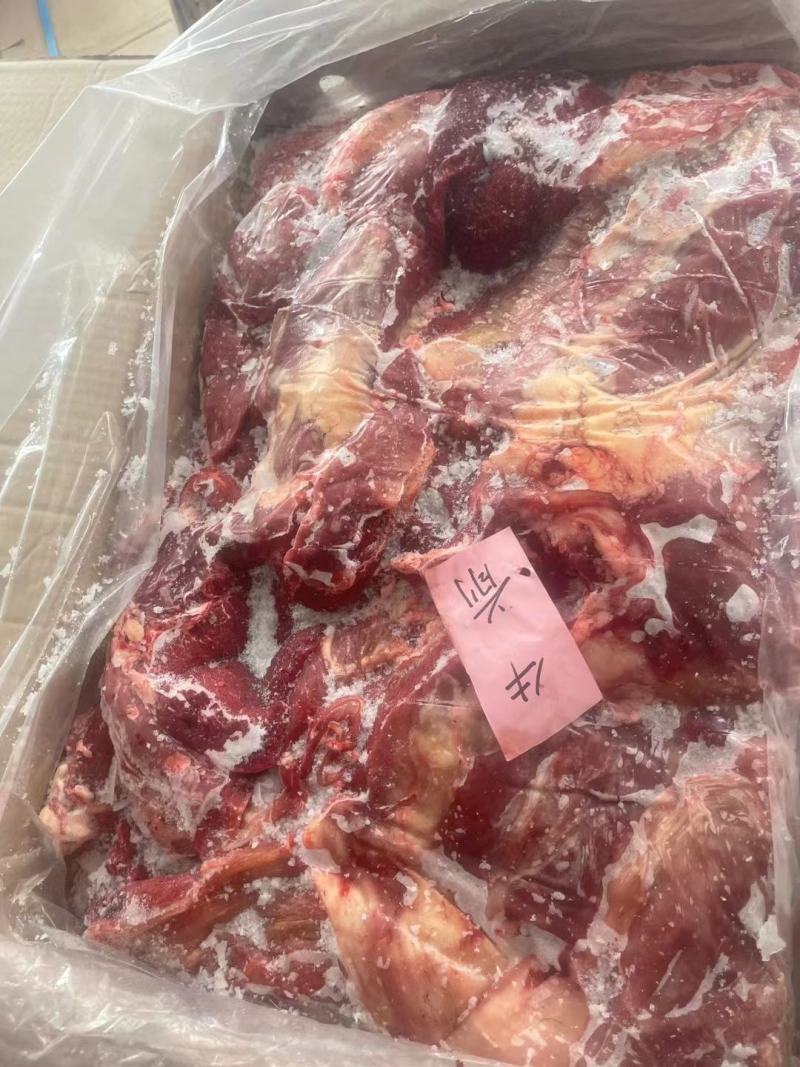 牛前牛后快大