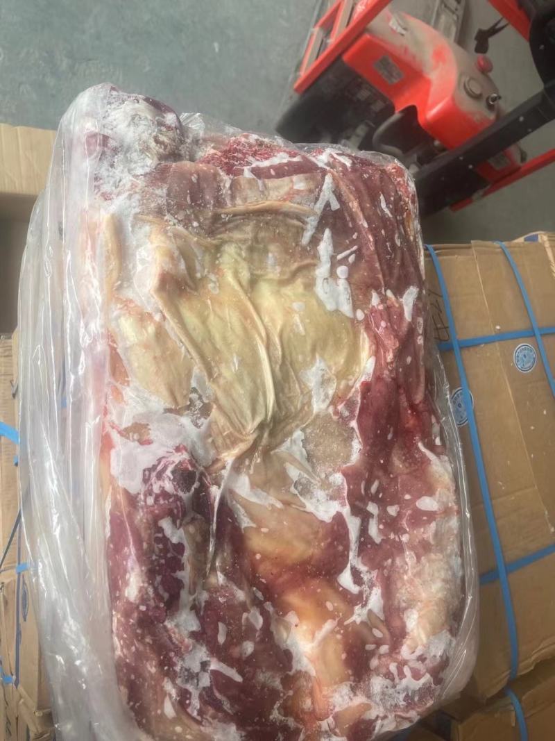 牛前牛后快大