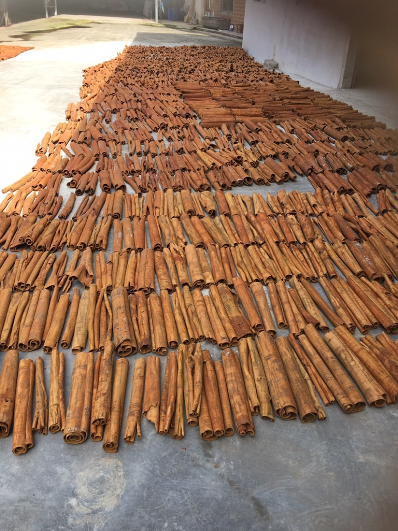 黄通肉桂刮皮黄通烟通桂丝规格齐全广西产地直发足干大量可淡