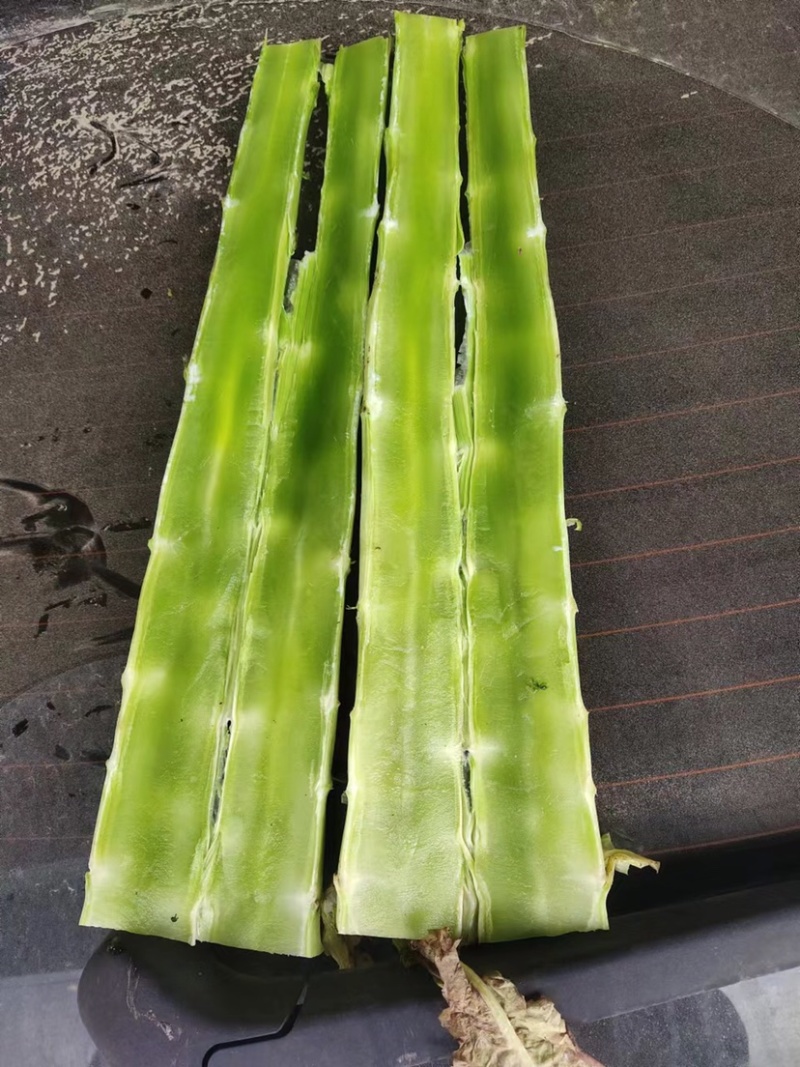 精品（兰州货）莴笋大量有货，质量求生存