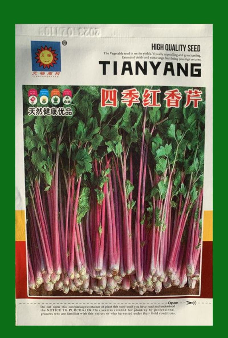 紫玉香芹种子红芹菜种籽紫色孑盆栽蔬菜阳台籽种香味浓细芹菜