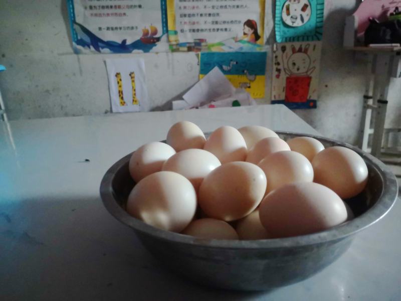 林地散养草鸡土鸡蛋，会飞的鸳鸯鸭蛋鹅蛋长期售卖