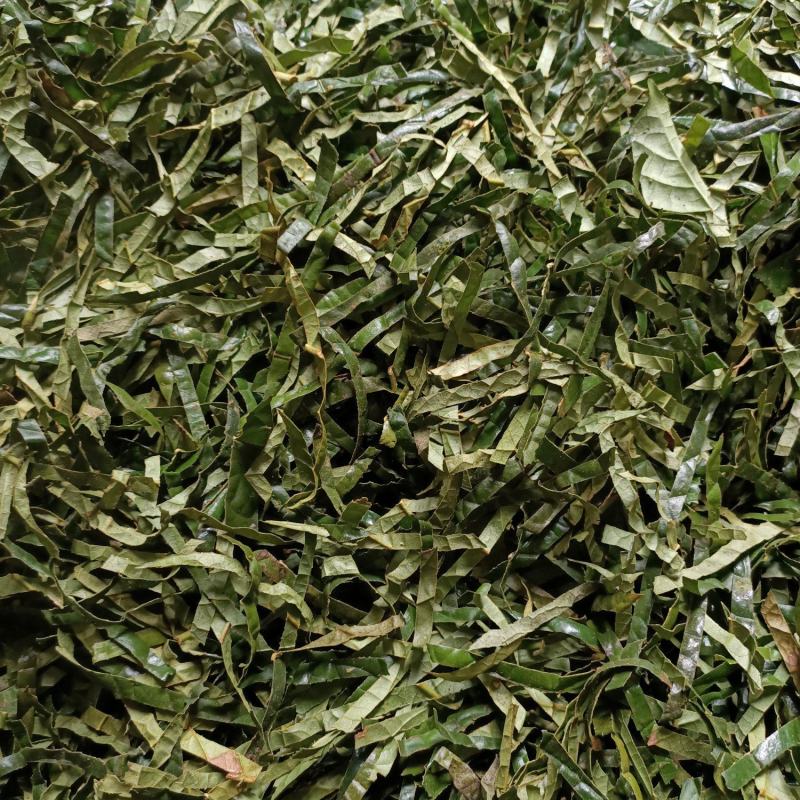 金花茶叶