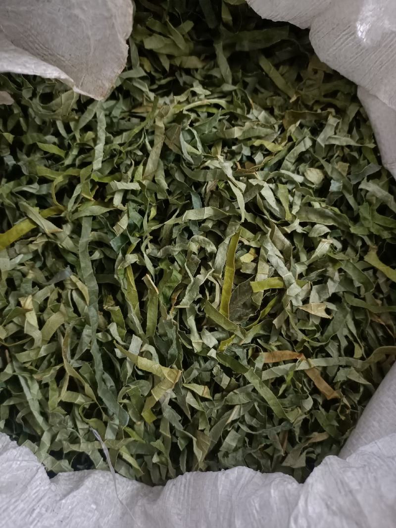 金花茶叶