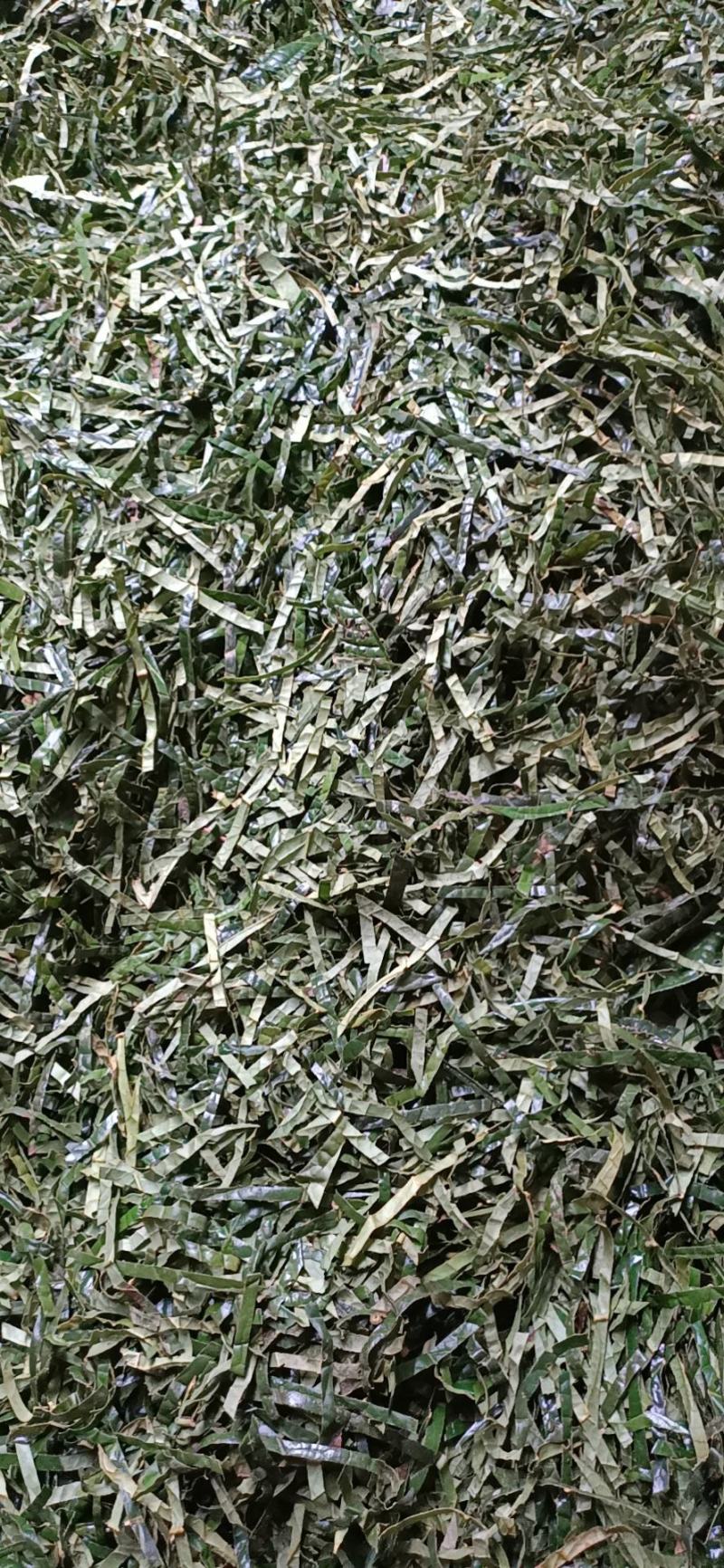 金花茶叶
