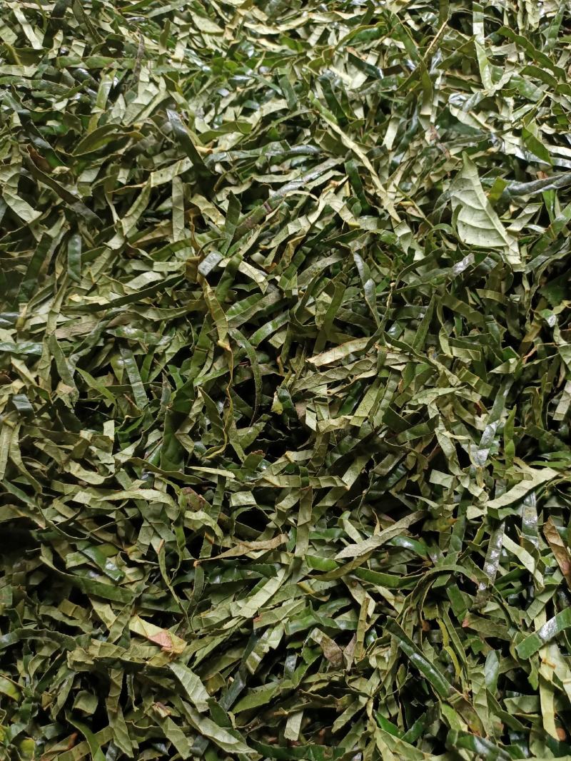 金花茶叶