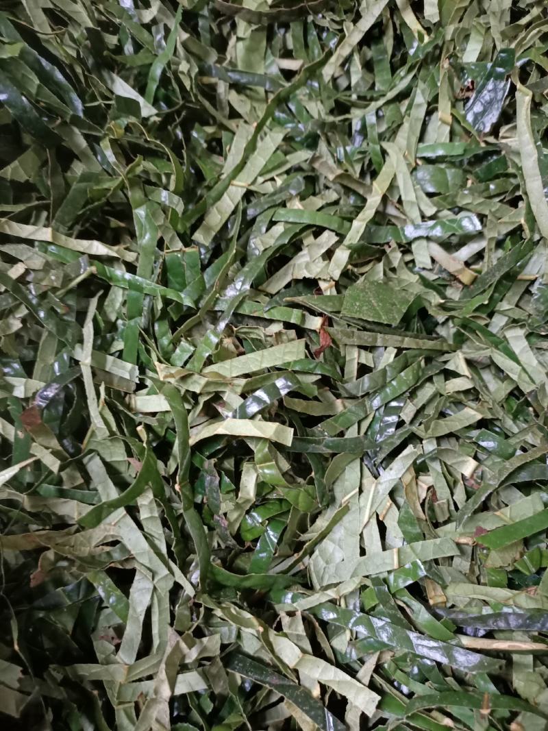 金花茶叶