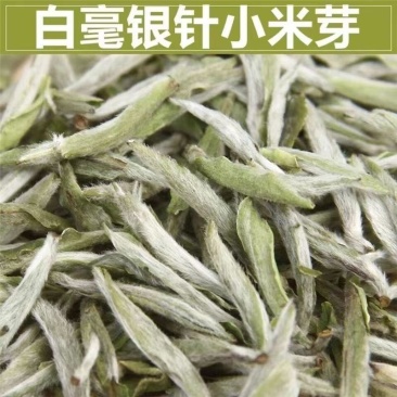 福鼎白茶新茶2022年正宗白毫银针明前头采毫韵毫香散装礼