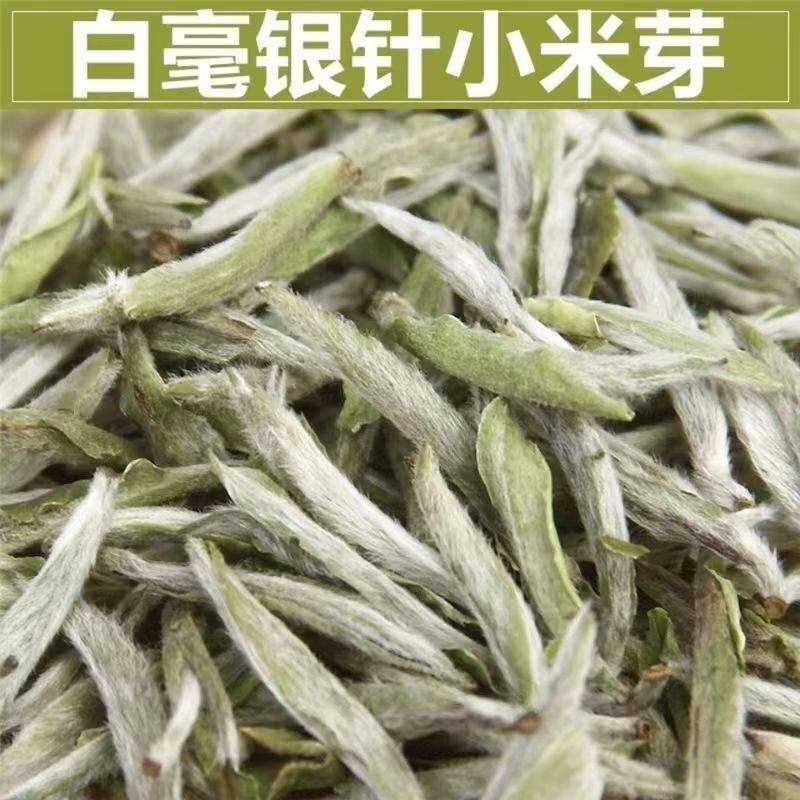 福鼎白茶新茶2022年正宗白毫银针明前头采毫韵毫香散装礼