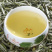 福鼎白茶新茶2022年正宗白毫银针明前头采毫韵毫香散装礼