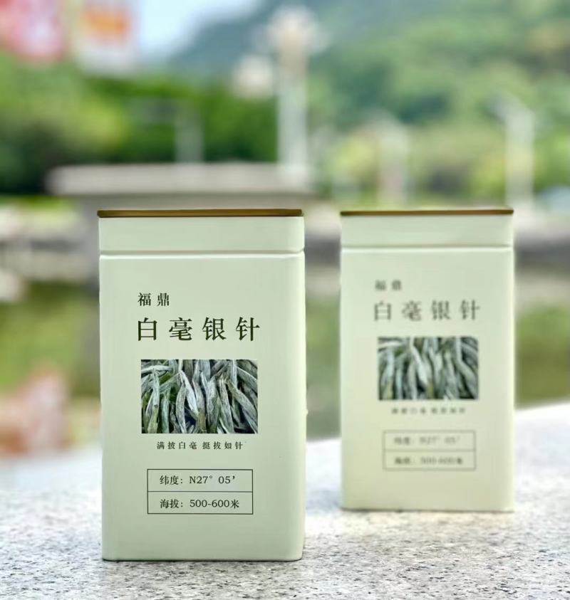 福鼎白茶新茶2022年正宗白毫银针明前头采毫韵毫香散装礼