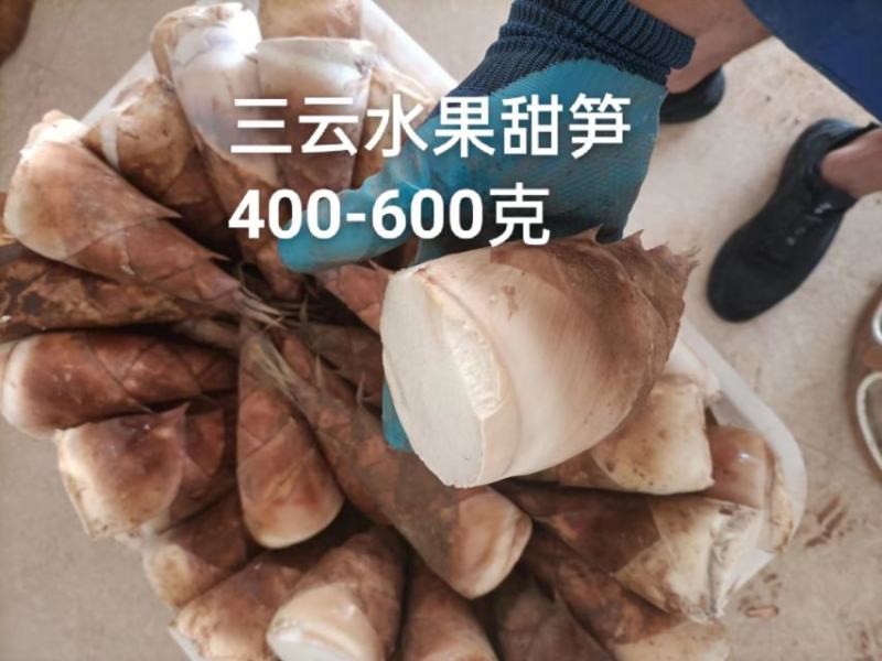 思茅甜笋精品优质甜竹笋货源充足量大从优，来电优惠