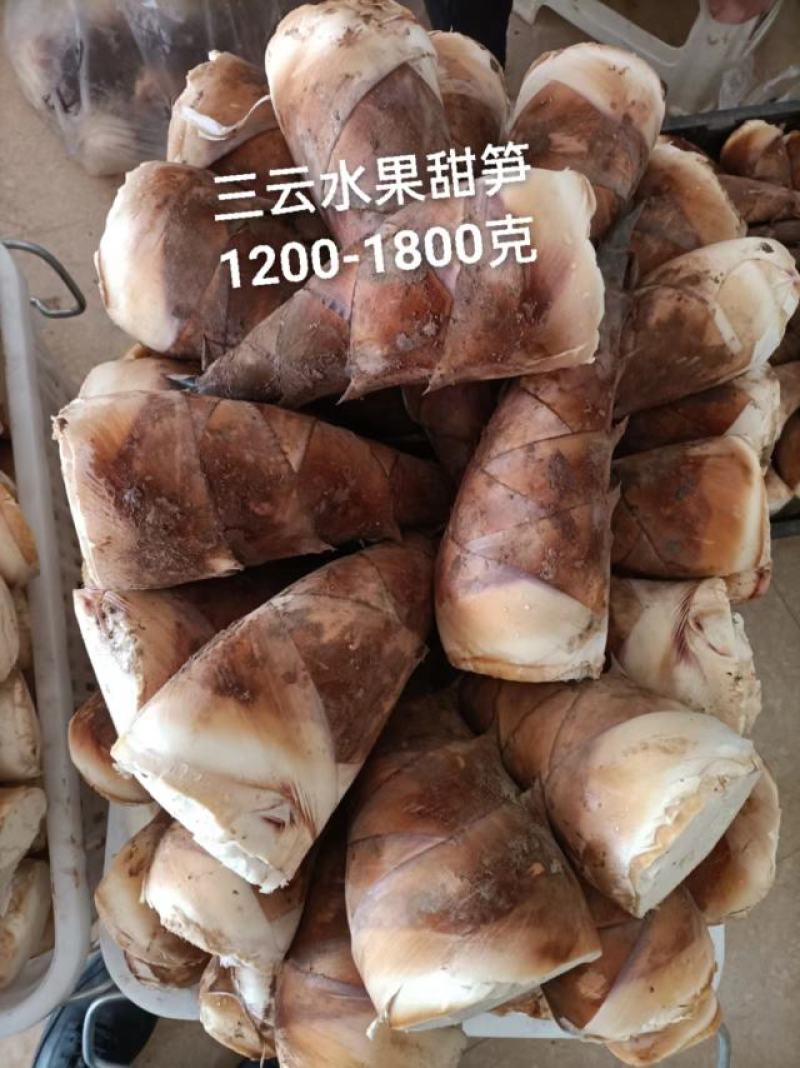 思茅甜笋精品优质甜竹笋货源充足量大从优，来电优惠