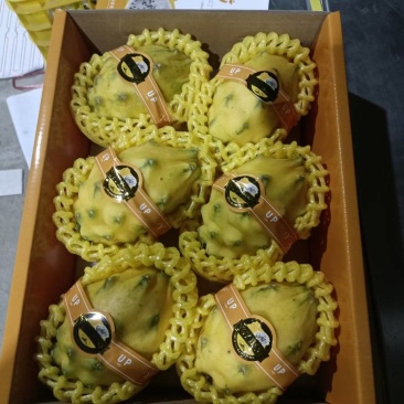 燕窝果，黄金麒麟果