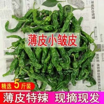 小皱皮辣椒