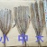烧烤鳗鱼片阳江特产海鱼干鳝鱼干烧烤店专用水产干货