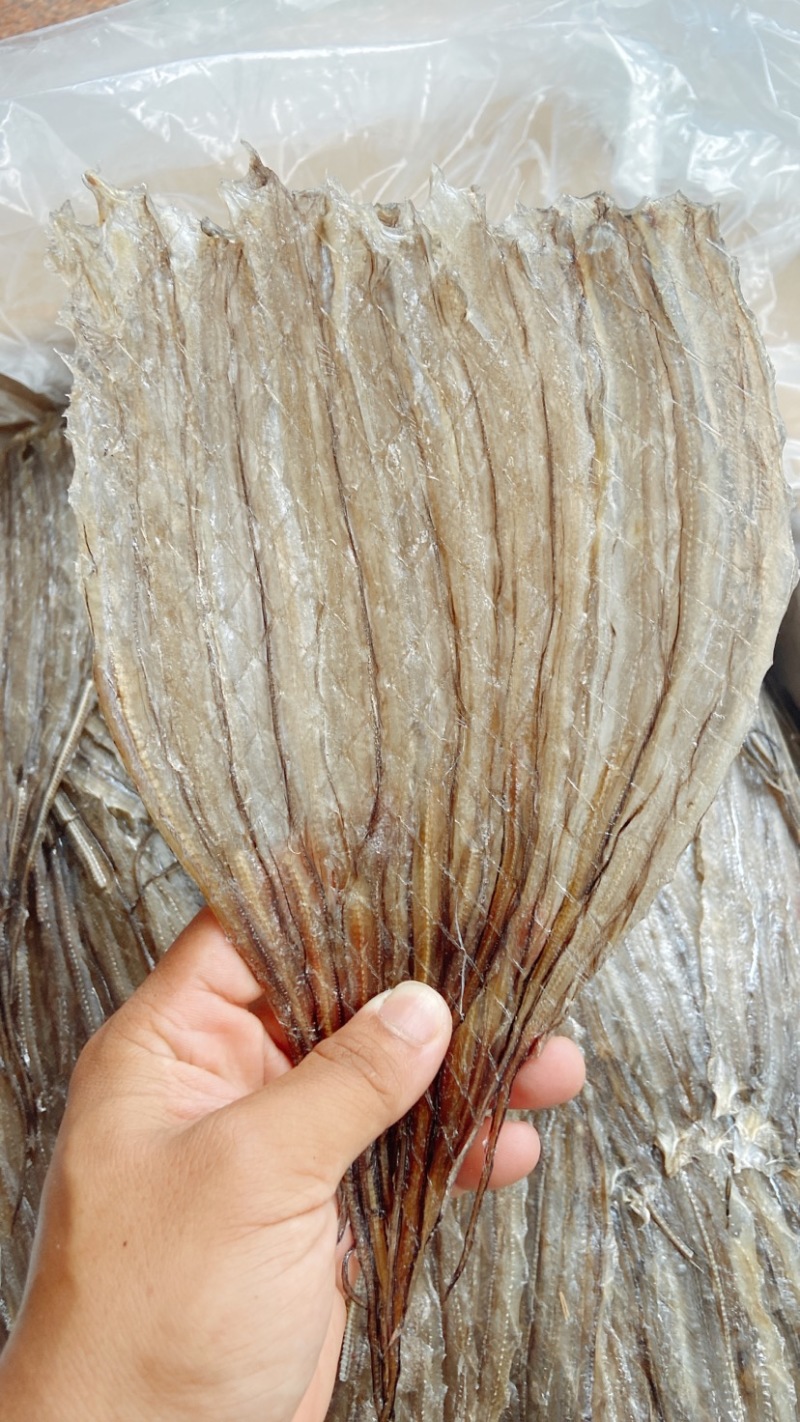 烧烤鳗鱼片阳江特产海鱼干鳝鱼干烧烤店专用水产干货