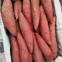 福建精品红薯-西瓜红蜜薯黑筐货3两一1.1斤，可以提供包装