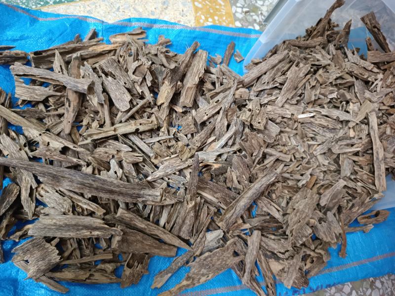 广西北流市六靖镇中药材沉香熏香料老虫漏