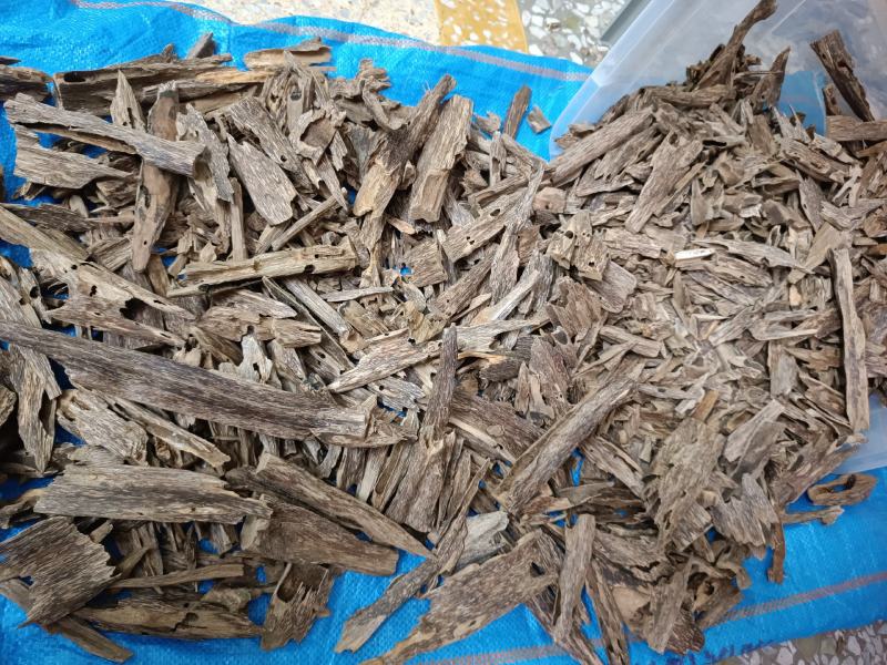广西北流市六靖镇中药材沉香熏香料老虫漏
