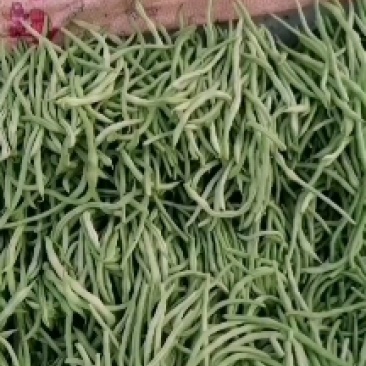 豆王