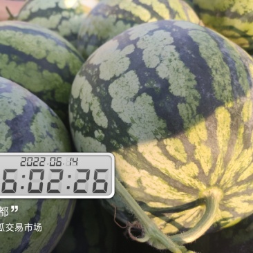 河南开封祥符区大批精品美都上市，欢迎各位朋友前来致电联系