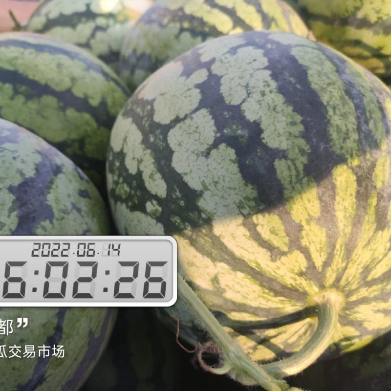 河南开封祥符区大批精品美都上市，欢迎各位朋友前来致电联系
