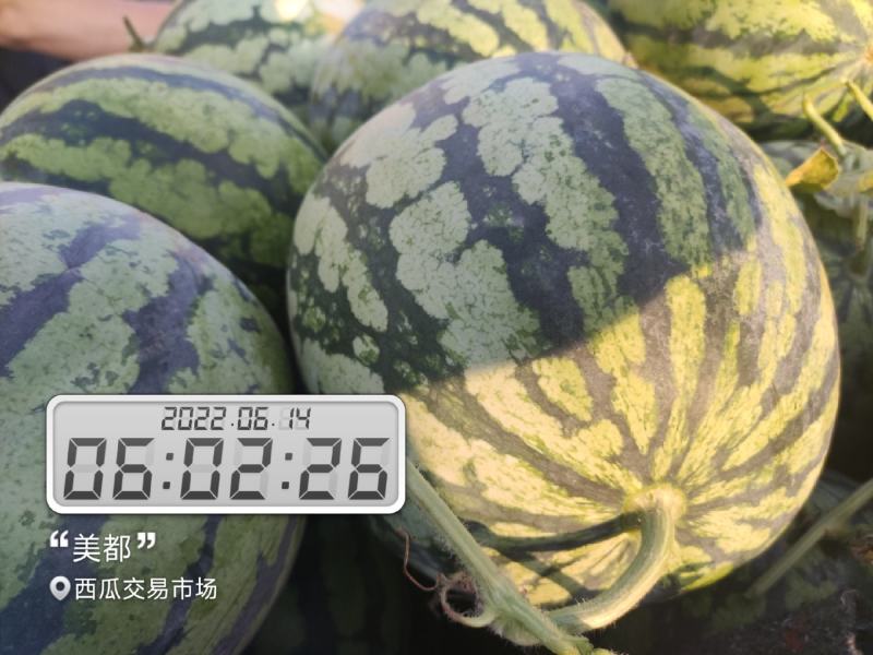 河南开封祥符区大批精品美都上市，欢迎各位朋友前来致电联系