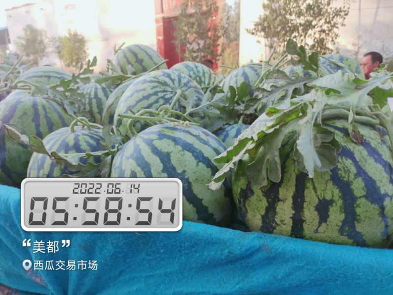 河南开封祥符区大批精品美都上市，欢迎各位朋友前来致电联系