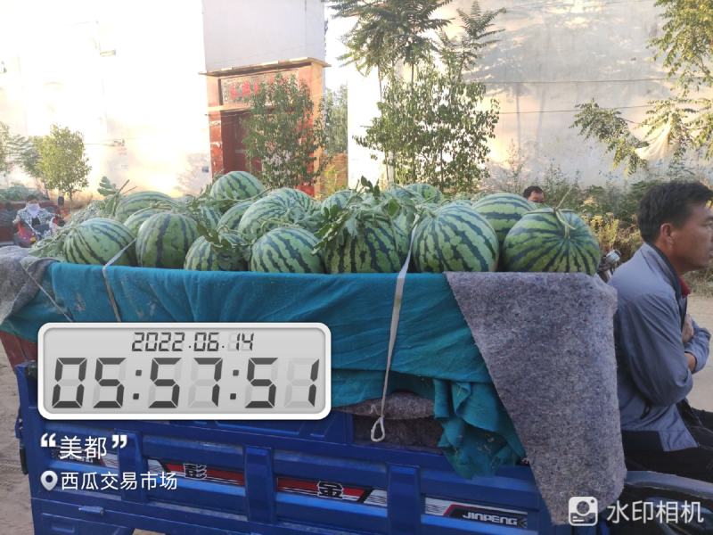 河南开封祥符区大批精品美都上市，欢迎各位朋友前来致电联系