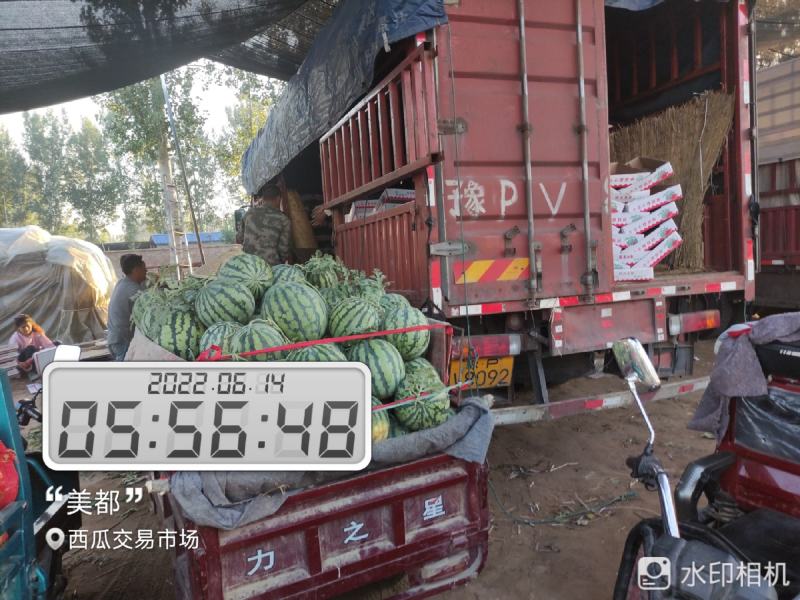 河南开封祥符区大批精品美都上市，欢迎各位朋友前来致电联系