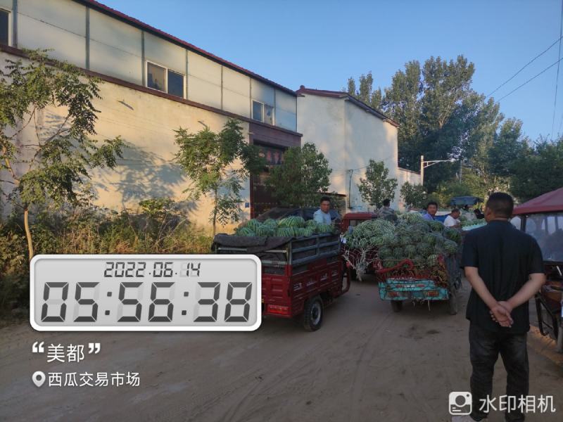 河南开封祥符区大批精品美都上市，欢迎各位朋友前来致电联系