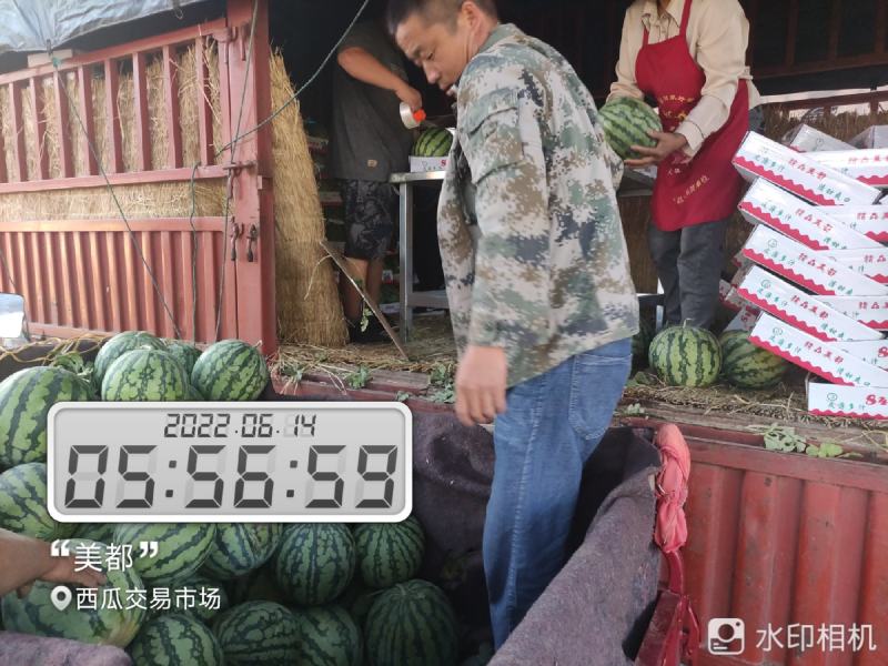 河南开封祥符区大批精品美都上市，欢迎各位朋友前来致电联系