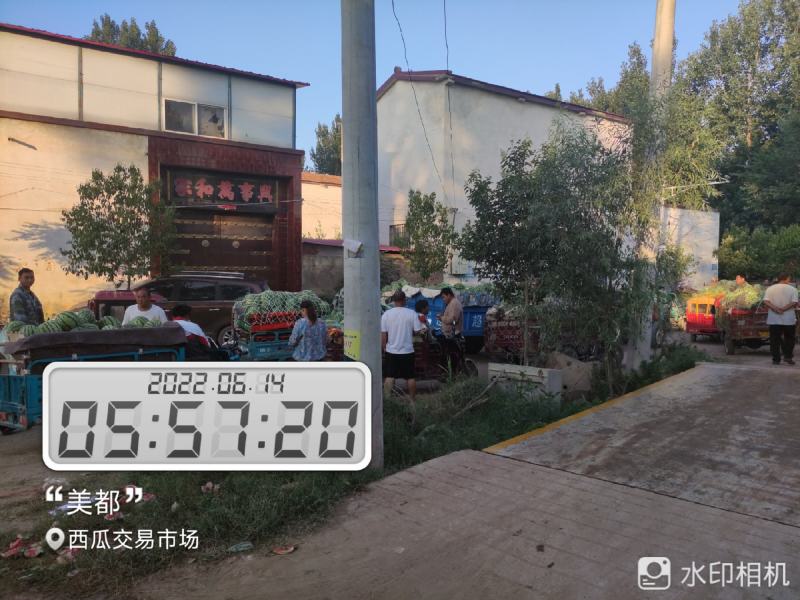 河南开封祥符区大批精品美都上市，欢迎各位朋友前来致电联系