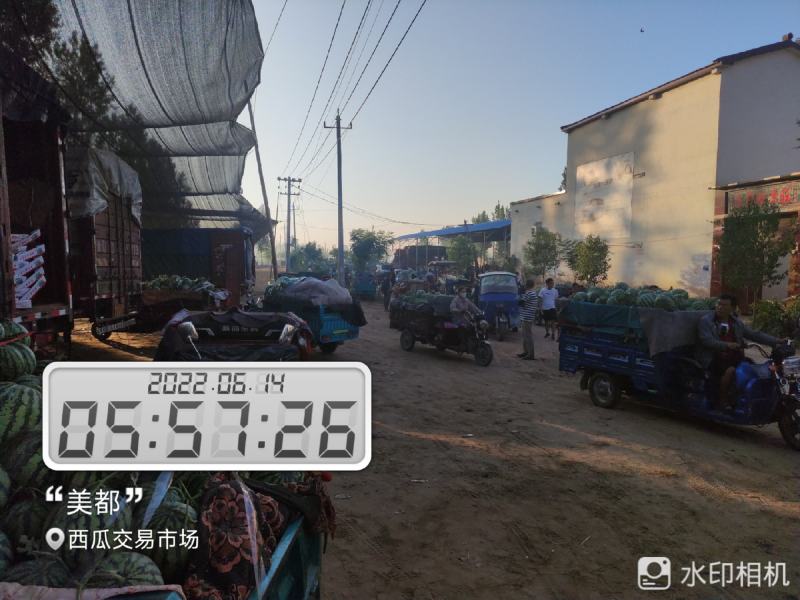河南开封祥符区大批精品美都上市，欢迎各位朋友前来致电联系