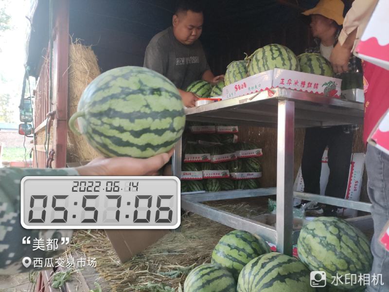 河南开封祥符区大批精品美都上市，欢迎各位朋友前来致电联系