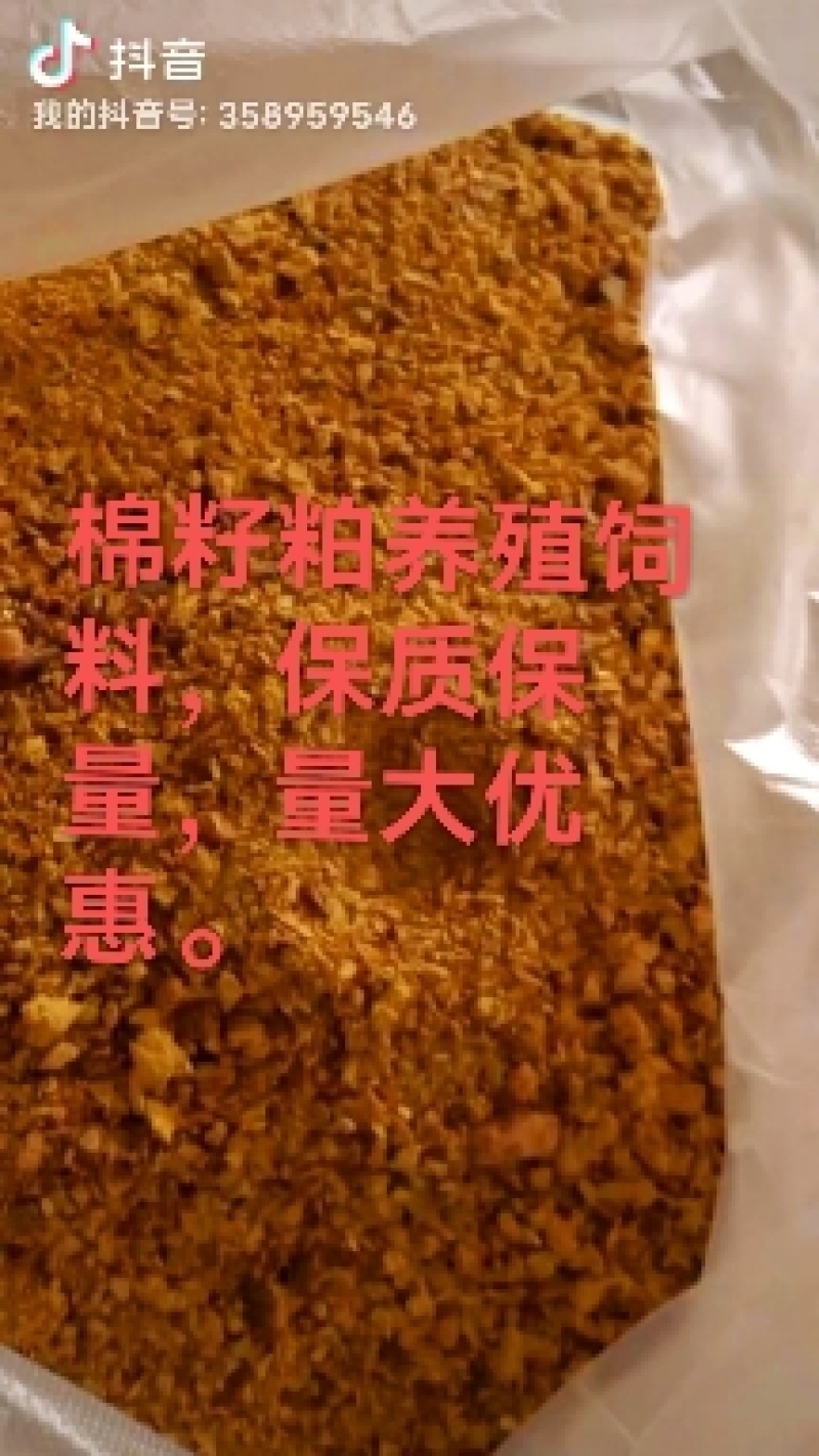 厂家常年直销棉籽饼蓖麻饼蔬菜水果专用饼肥，有机质75个，