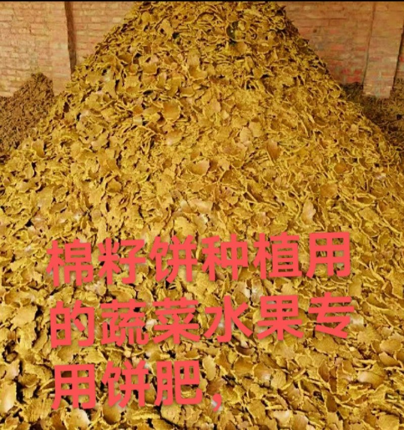 厂家常年直销棉籽饼蓖麻饼蔬菜水果专用饼肥，有机质75个，