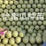 哈蜜瓜苗子,抗病抗裂,大果型,易管理商品性强