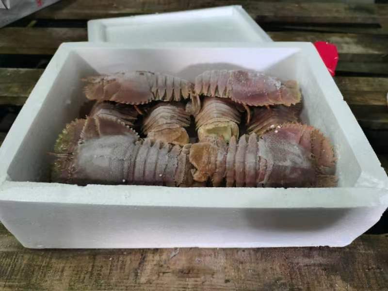 东海琵琶虾厂家供货直供商超大型批发商，一手货源