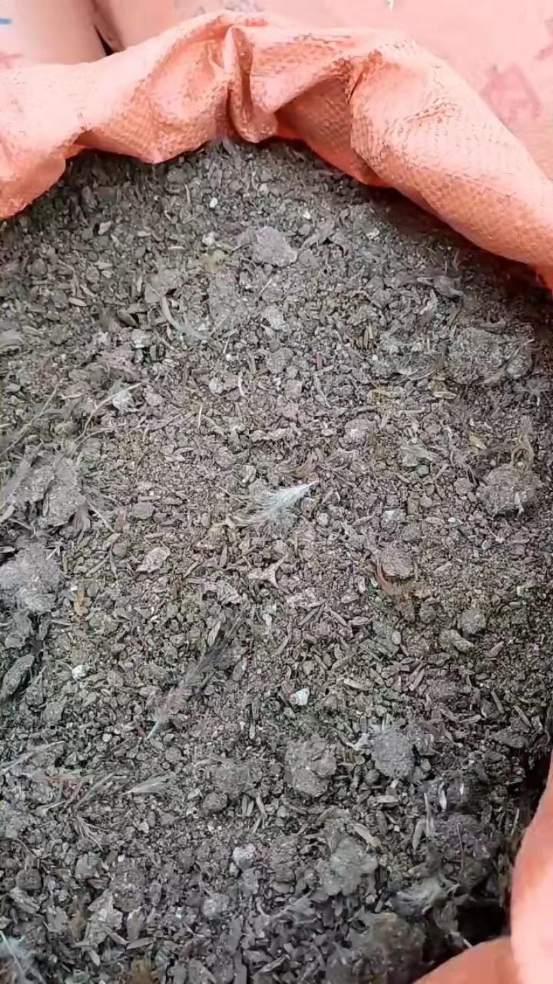 荐谷壳鸡粪块状鸡粪粉状鸡粪水分干无杂质欢迎咨询