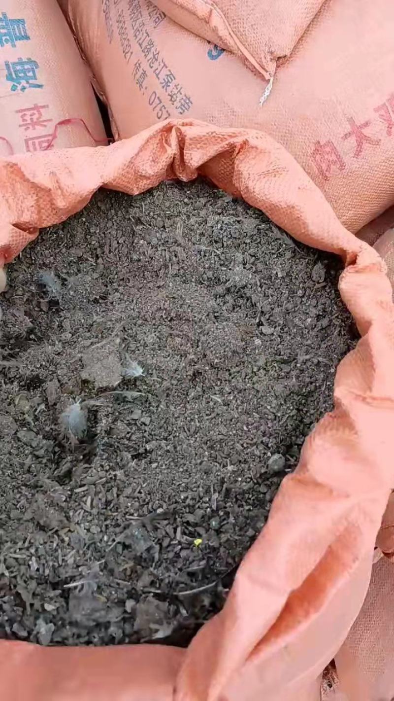 荐谷壳鸡粪块状鸡粪粉状鸡粪水分干无杂质欢迎咨询
