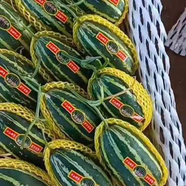 精品甜瓜大量有货产地直销一手货源