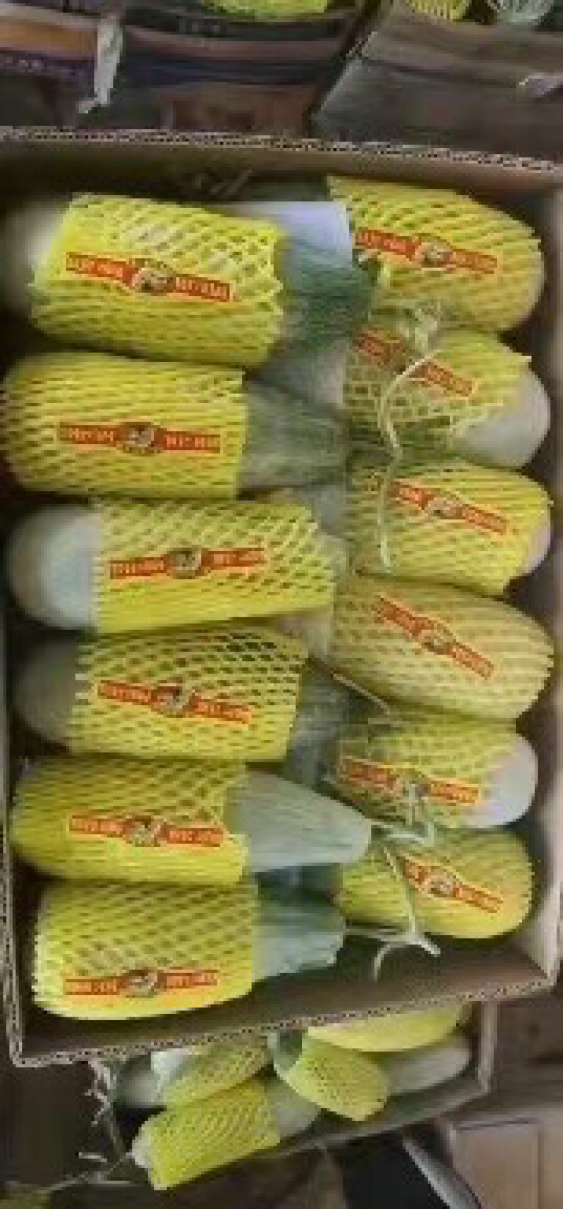 精品甜瓜大量有货产地直销一手货源